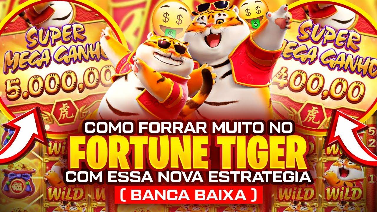 55bet com imagem de tela 4